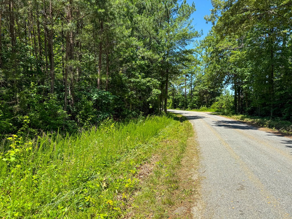33 Acres of Prime Hunting Land in Southern VA