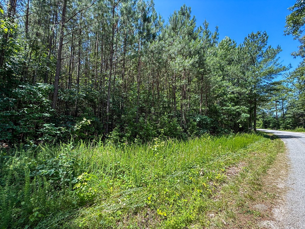 33 Acres of Prime Hunting Land in Southern VA
