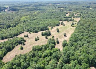 Northern Virginia Sportsman’s Dream with Trails & Creeks