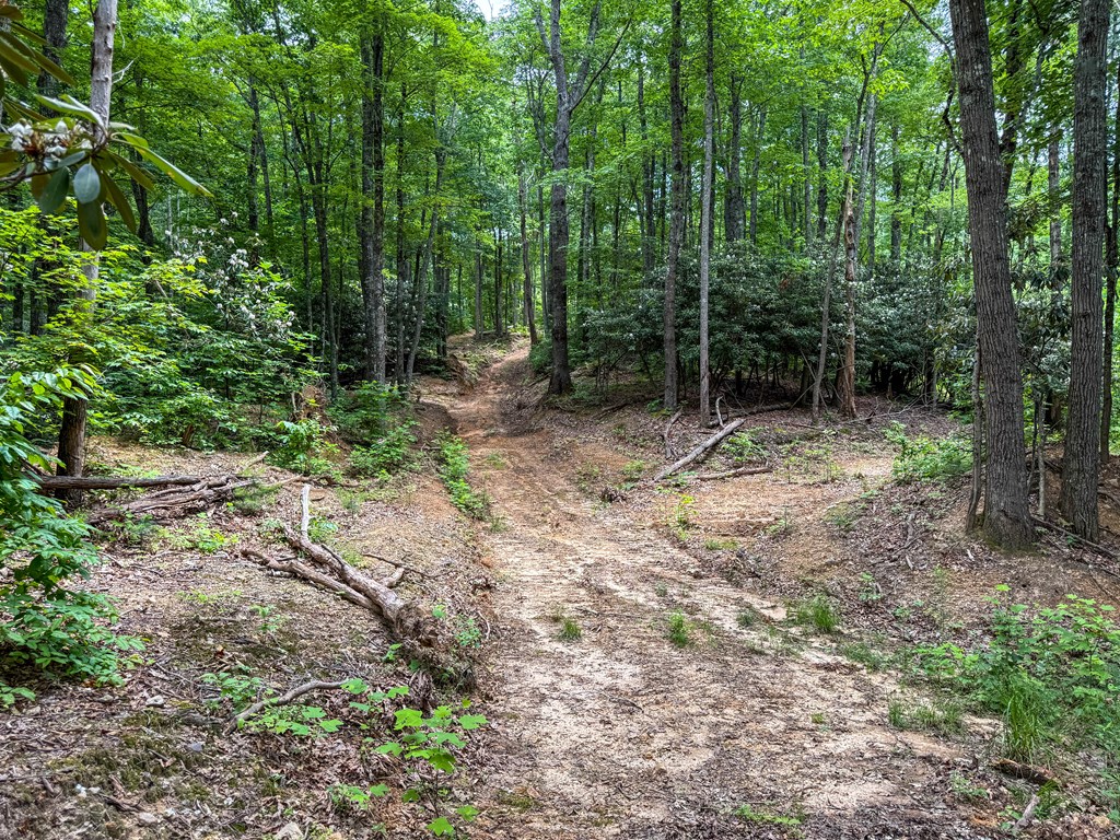 A Sportsman’s Dream: Trails, Trout, Timber & Trophy Game
