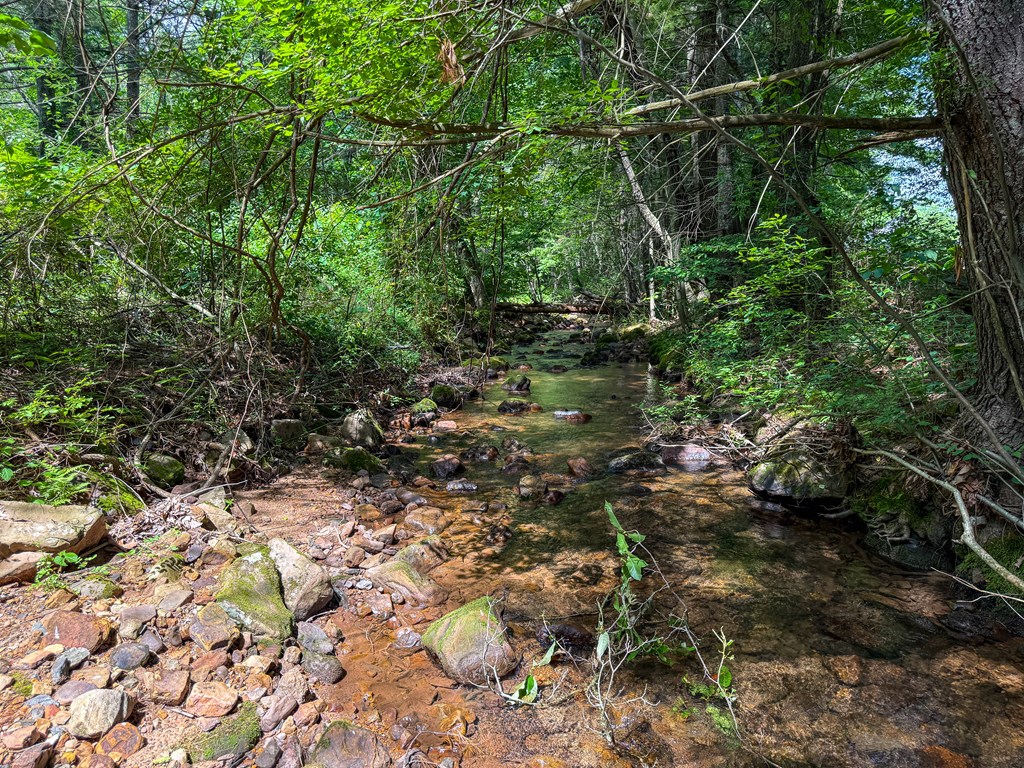 A Sportsman’s Dream: Trails, Trout, Timber & Trophy Game