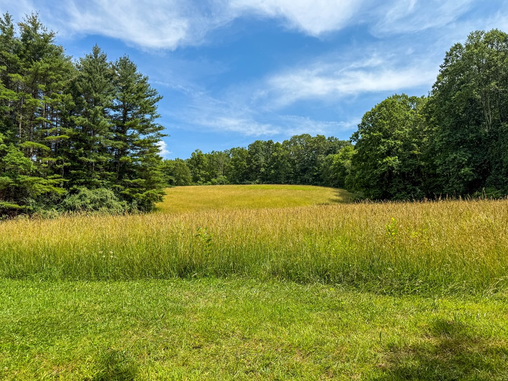 A Sportsman’s Dream: Trails, Trout, Timber & Trophy Game