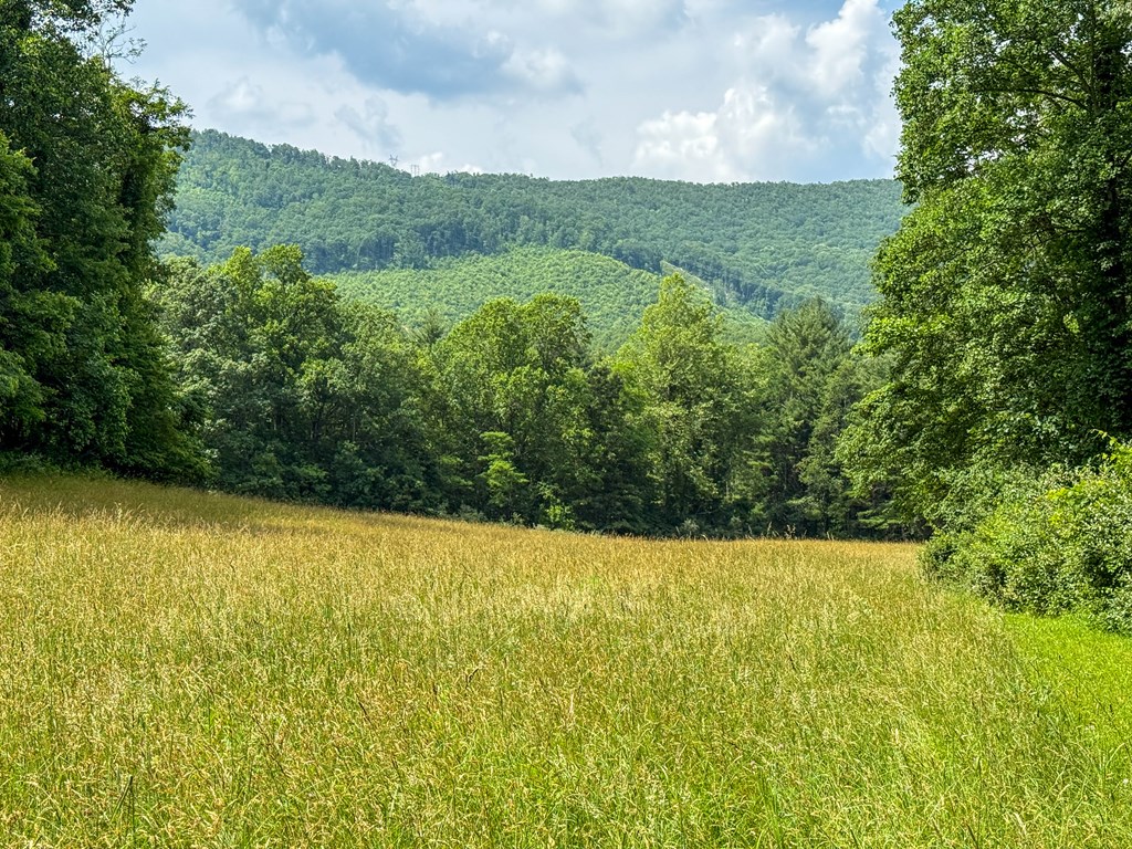 A Sportsman’s Dream: Trails, Trout, Timber & Trophy Game