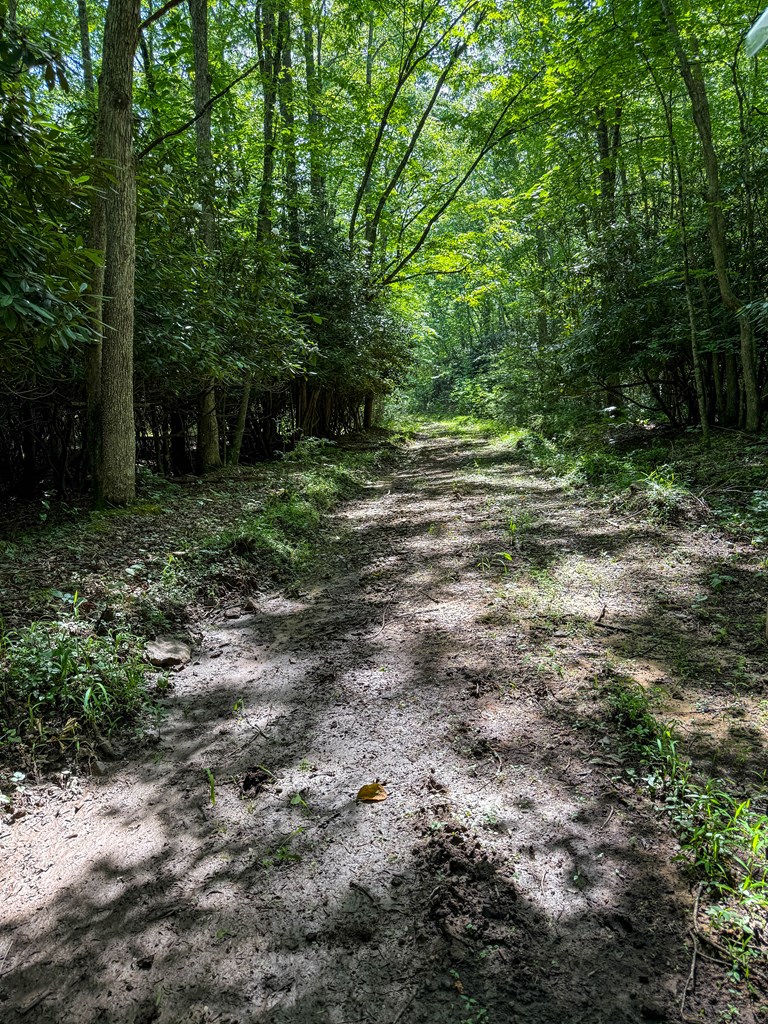A Sportsman’s Dream: Trails, Trout, Timber & Trophy Game