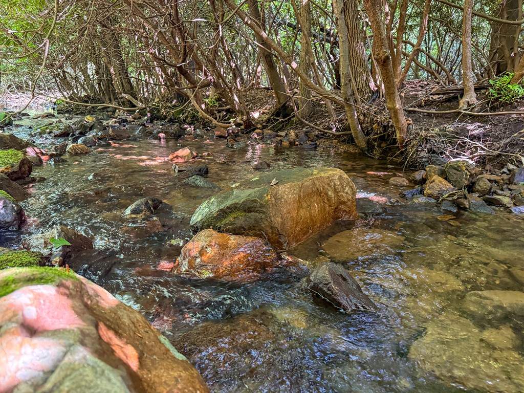 A Sportsman’s Dream: Trails, Trout, Timber & Trophy Game