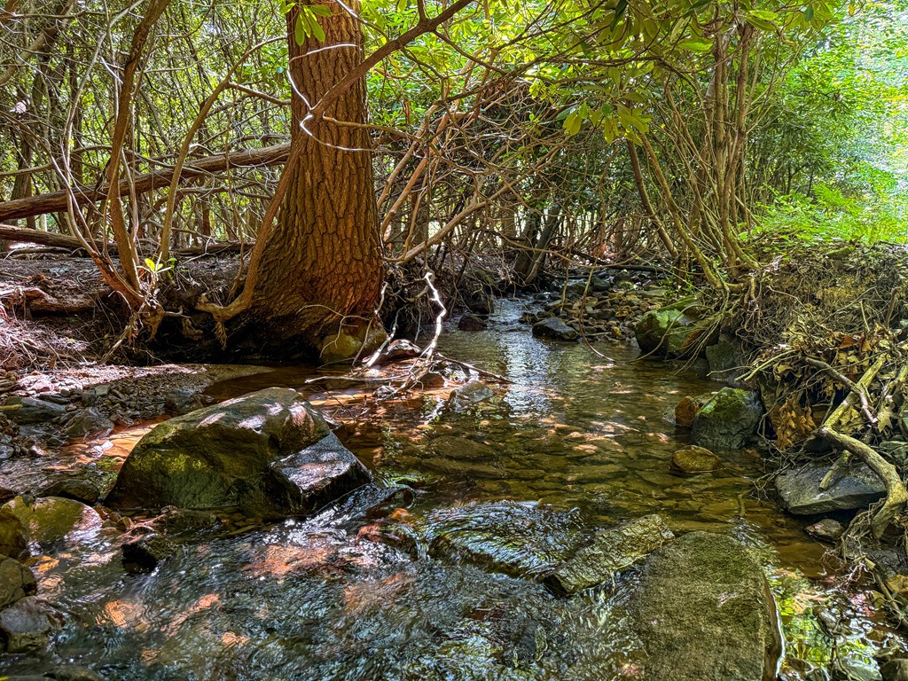 A Sportsman’s Dream: Trails, Trout, Timber & Trophy Game