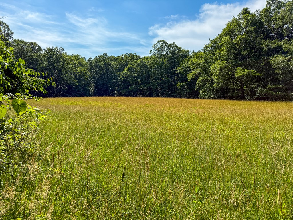 A Sportsman’s Dream: Trails, Trout, Timber & Trophy Game