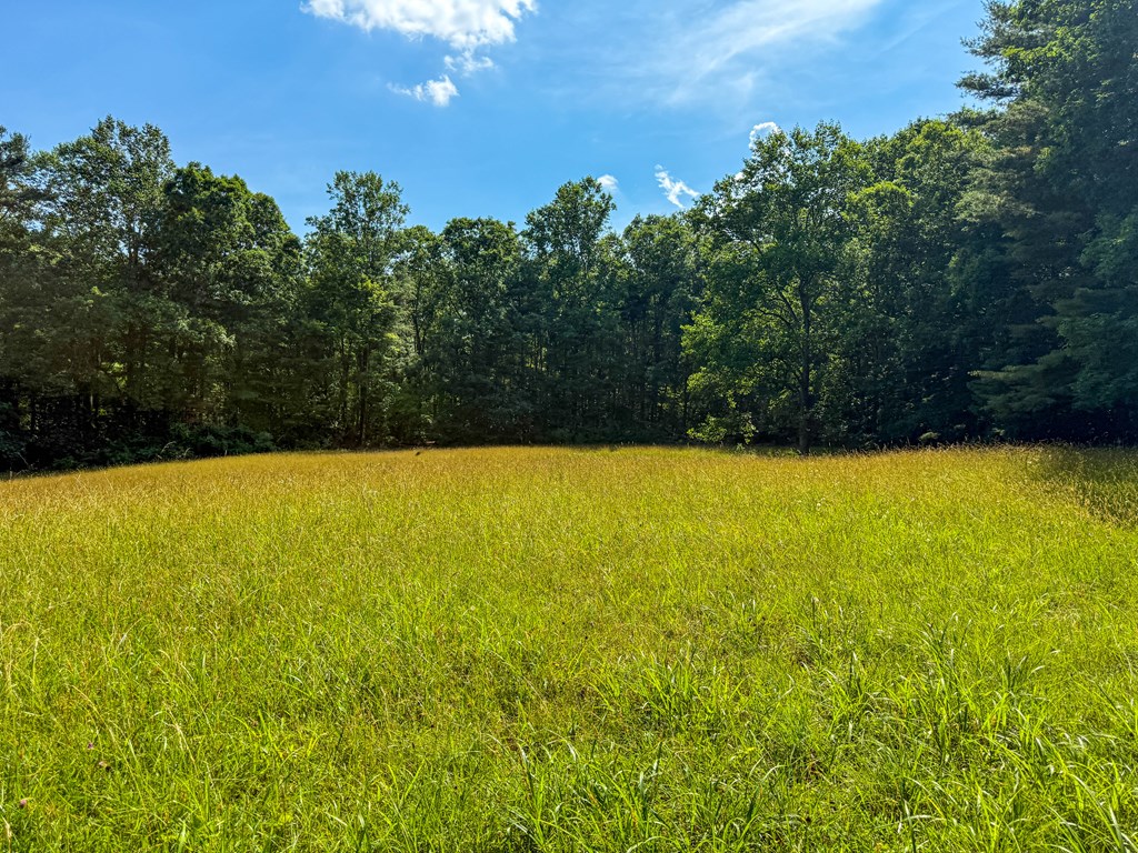 A Sportsman’s Dream: Trails, Trout, Timber & Trophy Game