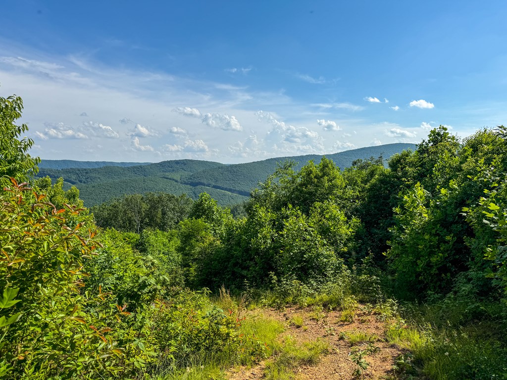 A Sportsman’s Dream: Trails, Trout, Timber & Trophy Game
