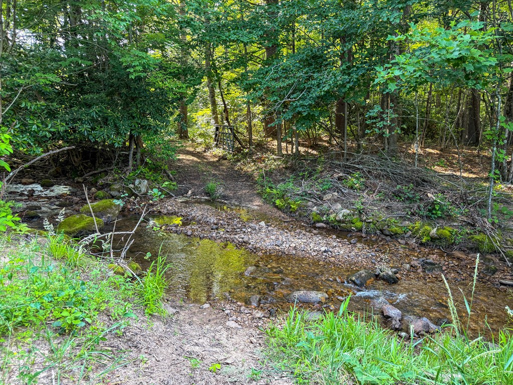 A Sportsman’s Dream: Trails, Trout, Timber & Trophy Game