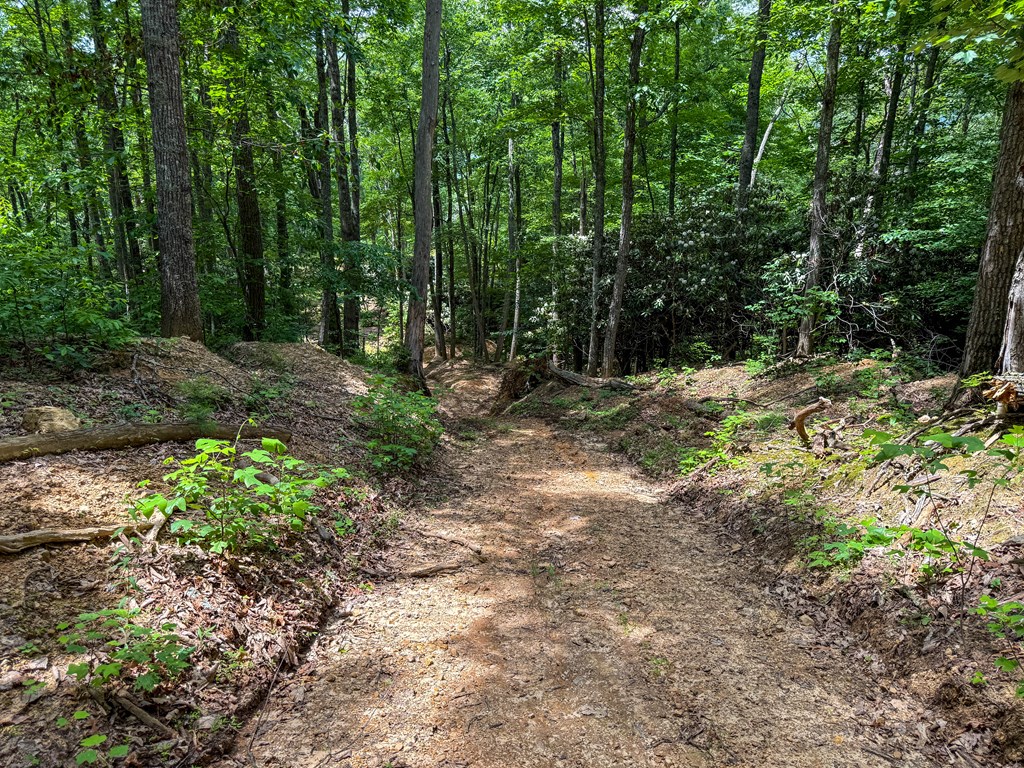 A Sportsman’s Dream: Trails, Trout, Timber & Trophy Game
