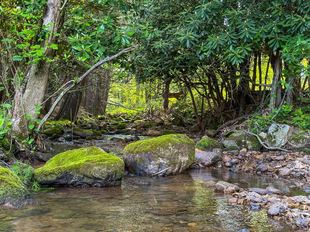 A Sportsman’s Dream: Trails, Trout, Timber & Trophy Game