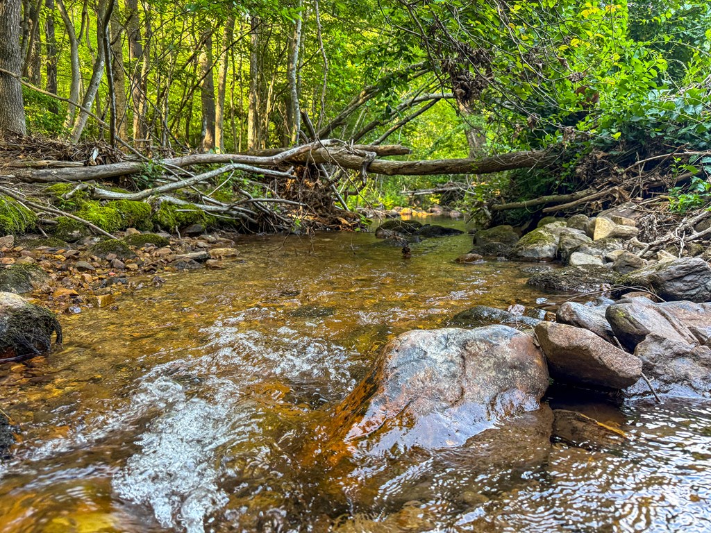 A Sportsman’s Dream: Trails, Trout, Timber & Trophy Game