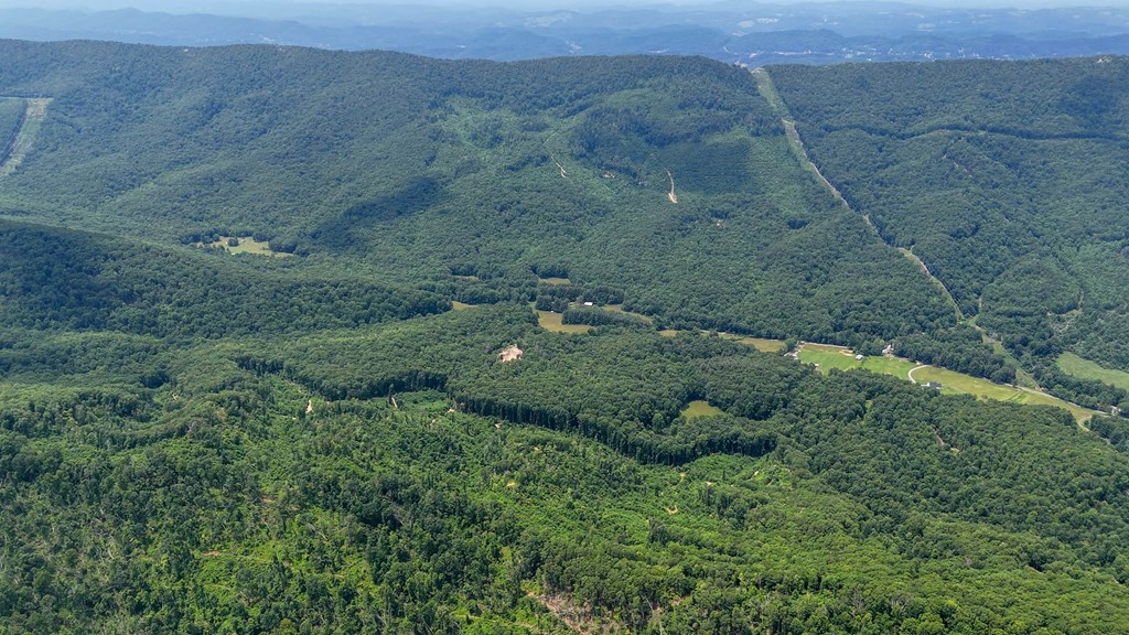 A Sportsman’s Dream: Trails, Trout, Timber & Trophy Game