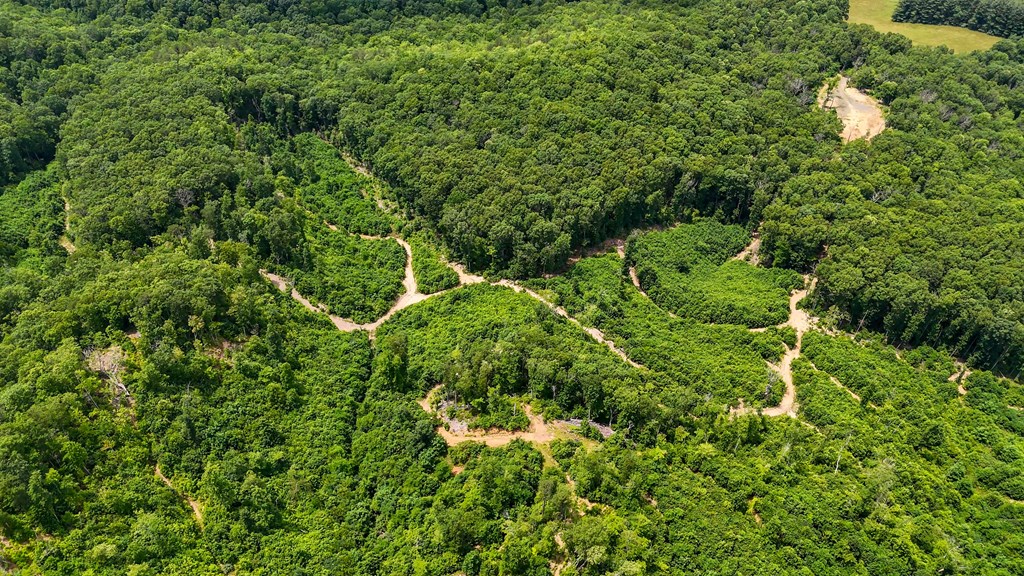 A Sportsman’s Dream: Trails, Trout, Timber & Trophy Game