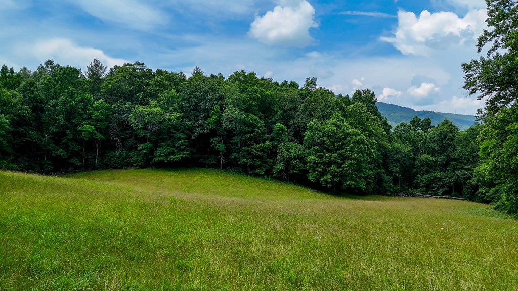 A Sportsman’s Dream: Trails, Trout, Timber & Trophy Game