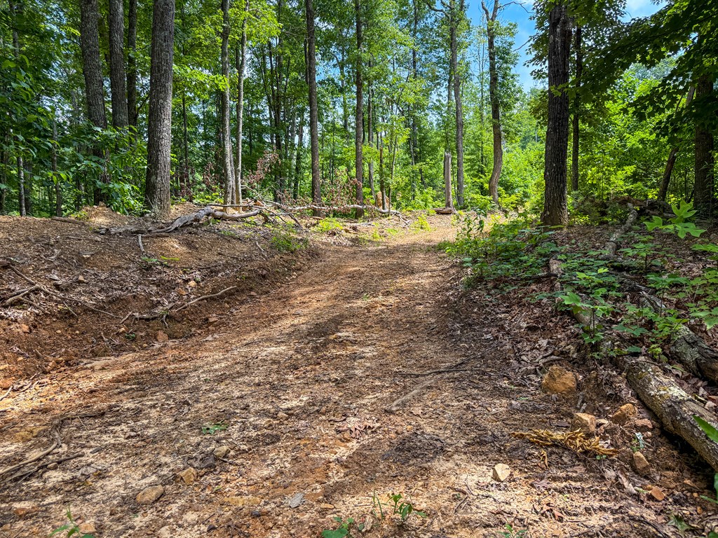 A Sportsman’s Dream: Trails, Trout, Timber & Trophy Game