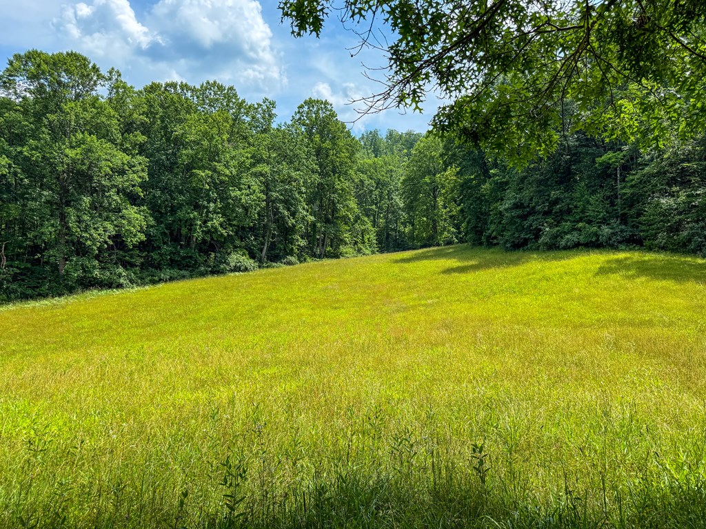A Sportsman’s Dream: Trails, Trout, Timber & Trophy Game