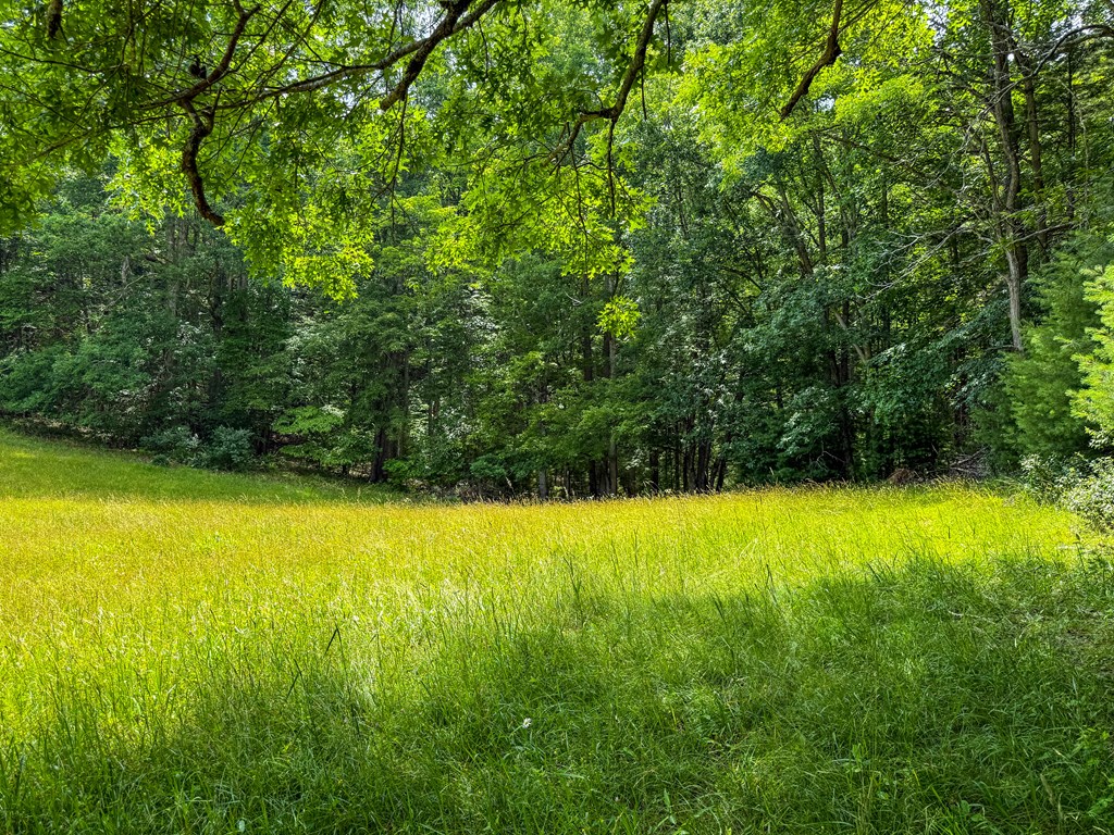 A Sportsman’s Dream: Trails, Trout, Timber & Trophy Game
