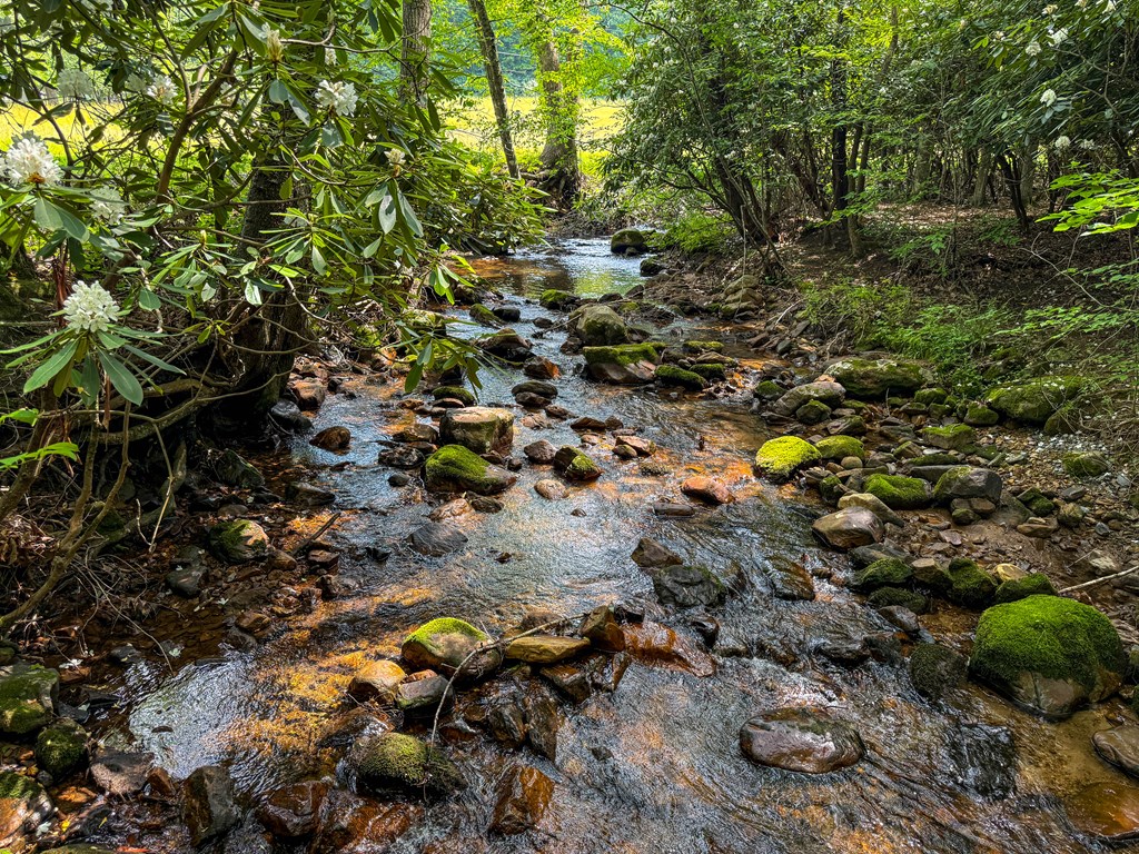 A Sportsman’s Dream: Trails, Trout, Timber & Trophy Game