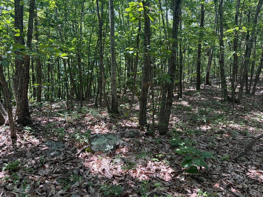 Discover Your Perfect Retreat in Virginia’s Scenic Piedmont