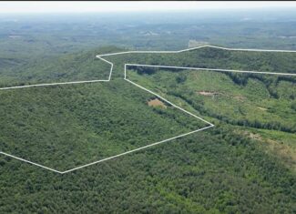 Discover Your Perfect Retreat in Virginia’s Scenic Piedmont