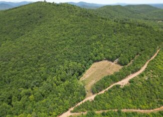 Discover Your Perfect Retreat in Virginia’s Scenic Piedmont