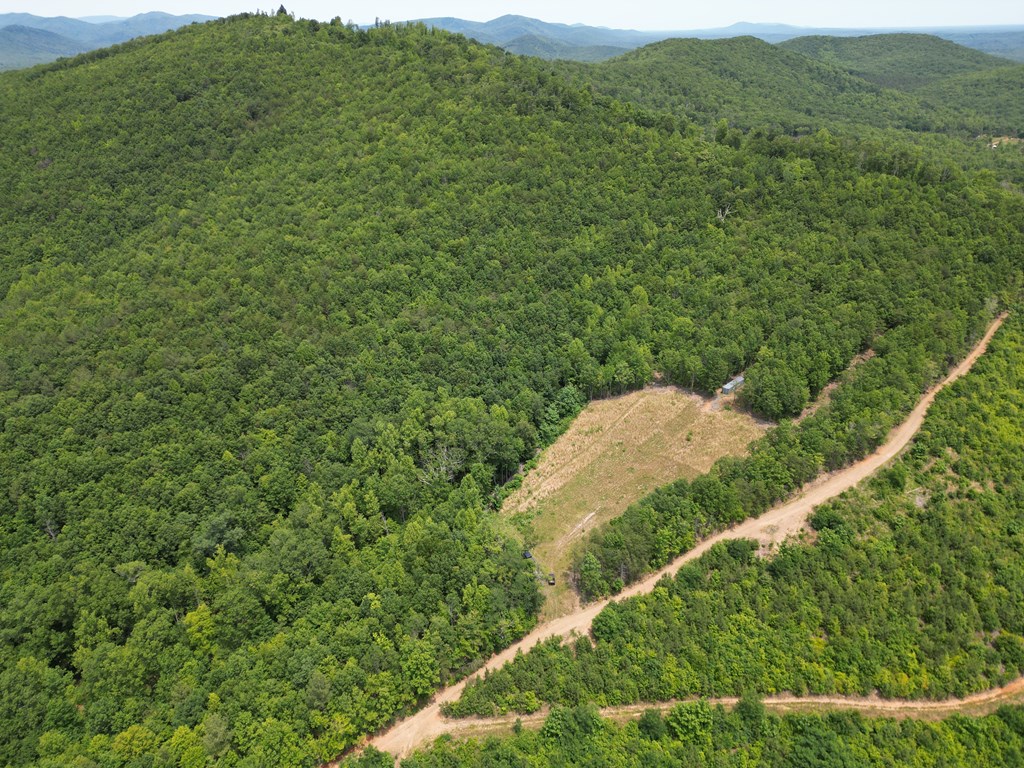 Discover Your Perfect Retreat in Virginia’s Scenic Piedmont