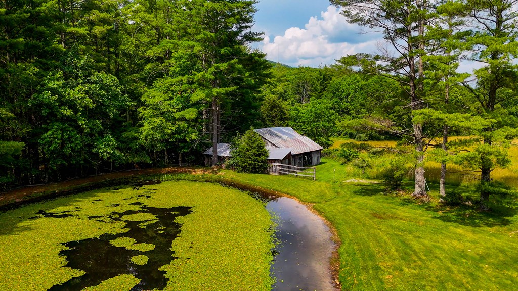 A Sportsman’s Dream: Trails, Trout, Timber & Trophy Game