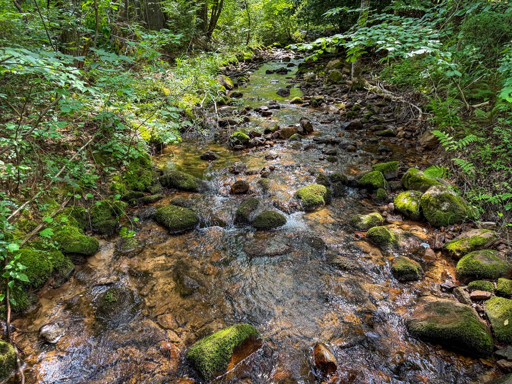 A Sportsman’s Dream: Trails, Trout, Timber & Trophy Game