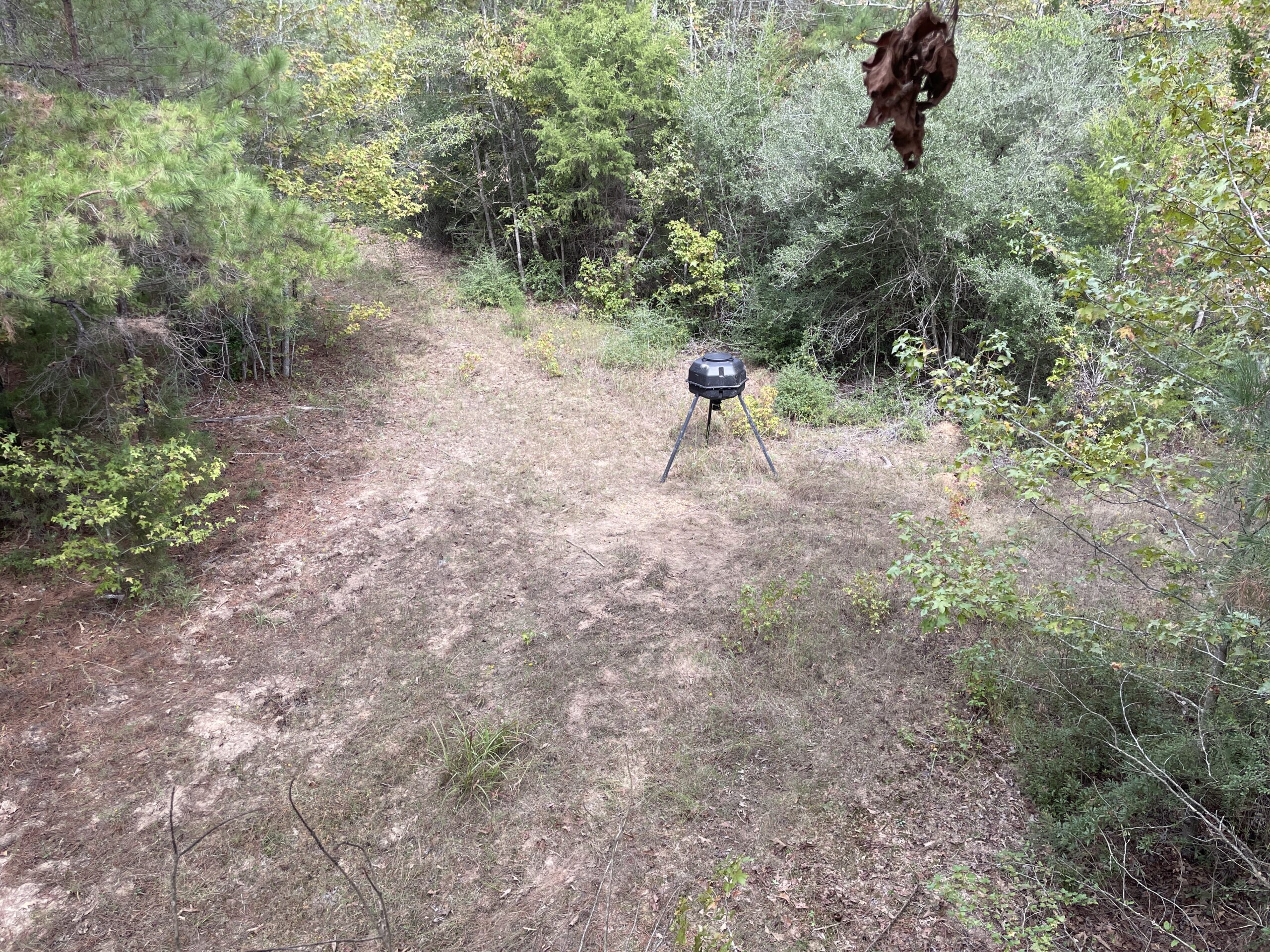 182+ Acres of Whitetail Paradise in Jefferson, TX