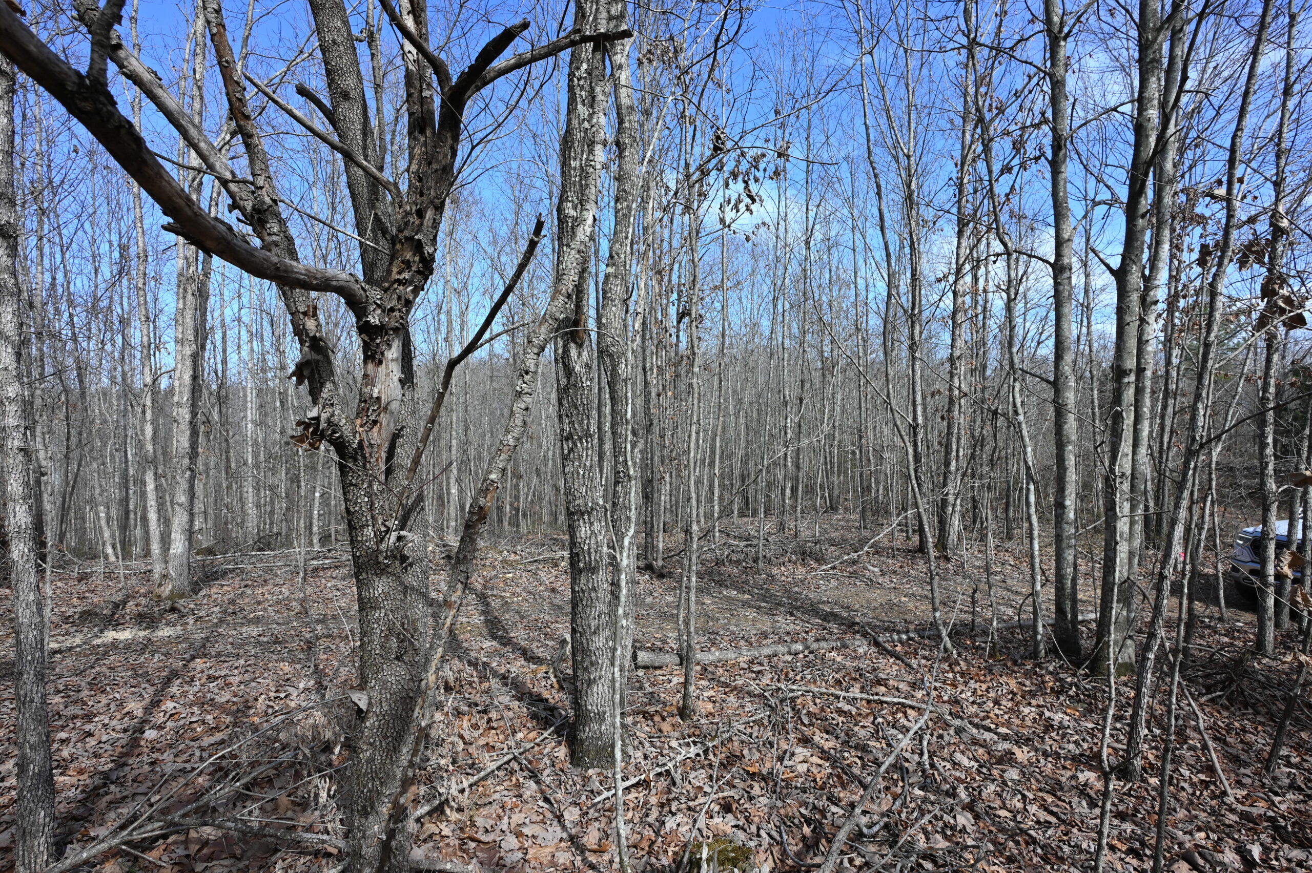 12.33 Acres Land for Sale in Perry County, Tennessee