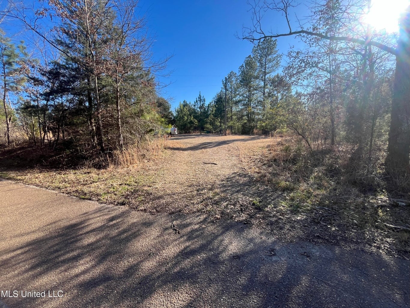 Great Homesite and Hunting Tract in Hermanville, MS