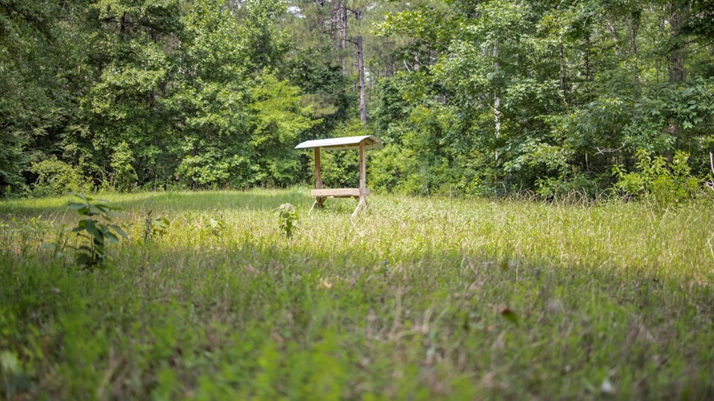 345 Acres with Camp, Creek bordering National Forest in SWMS