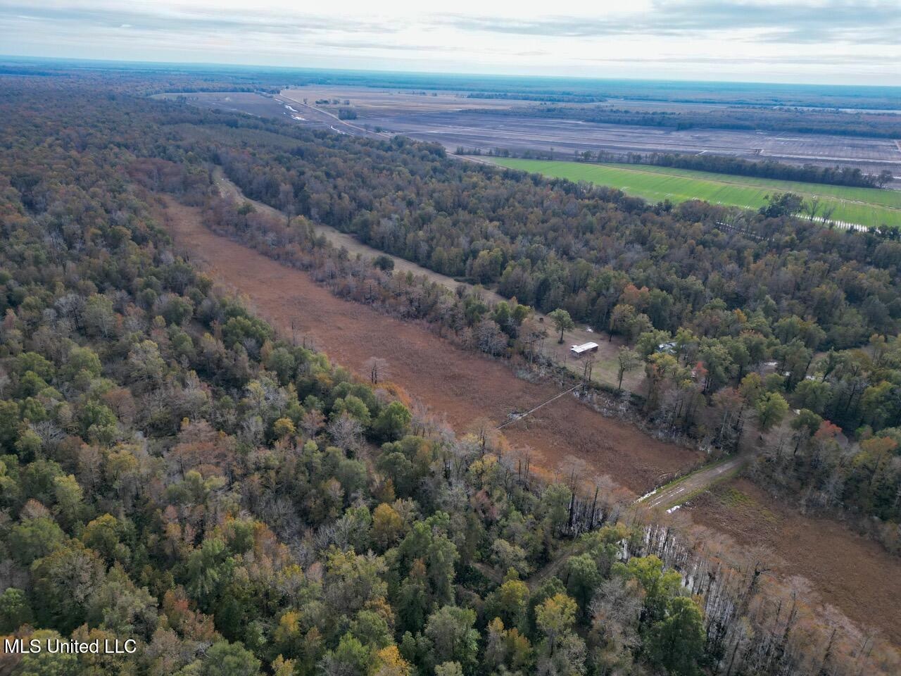 Tensas Parish LA – The Glade Hunting Property