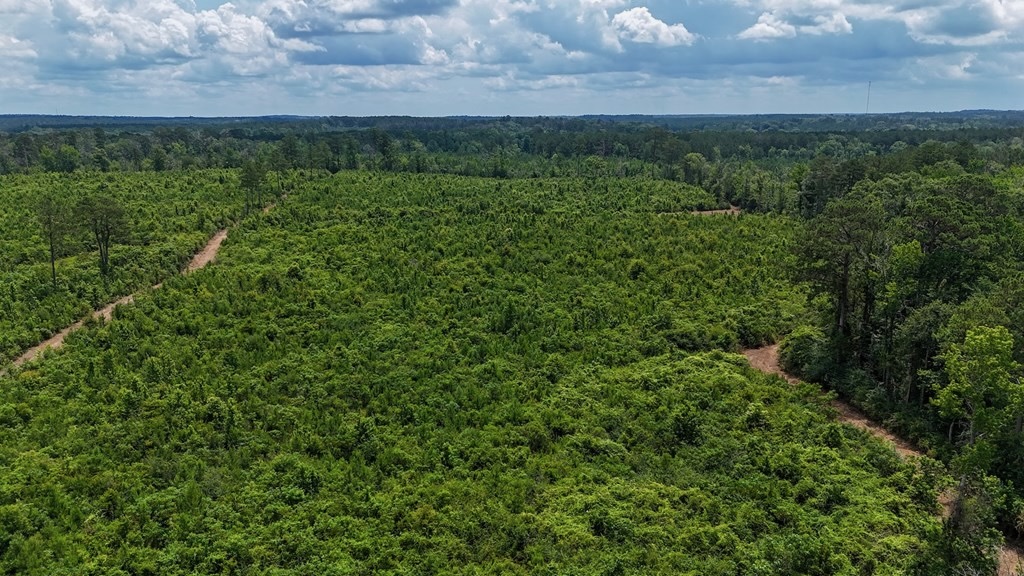Small Hunting Tract FOR SALE in Amite County, MS