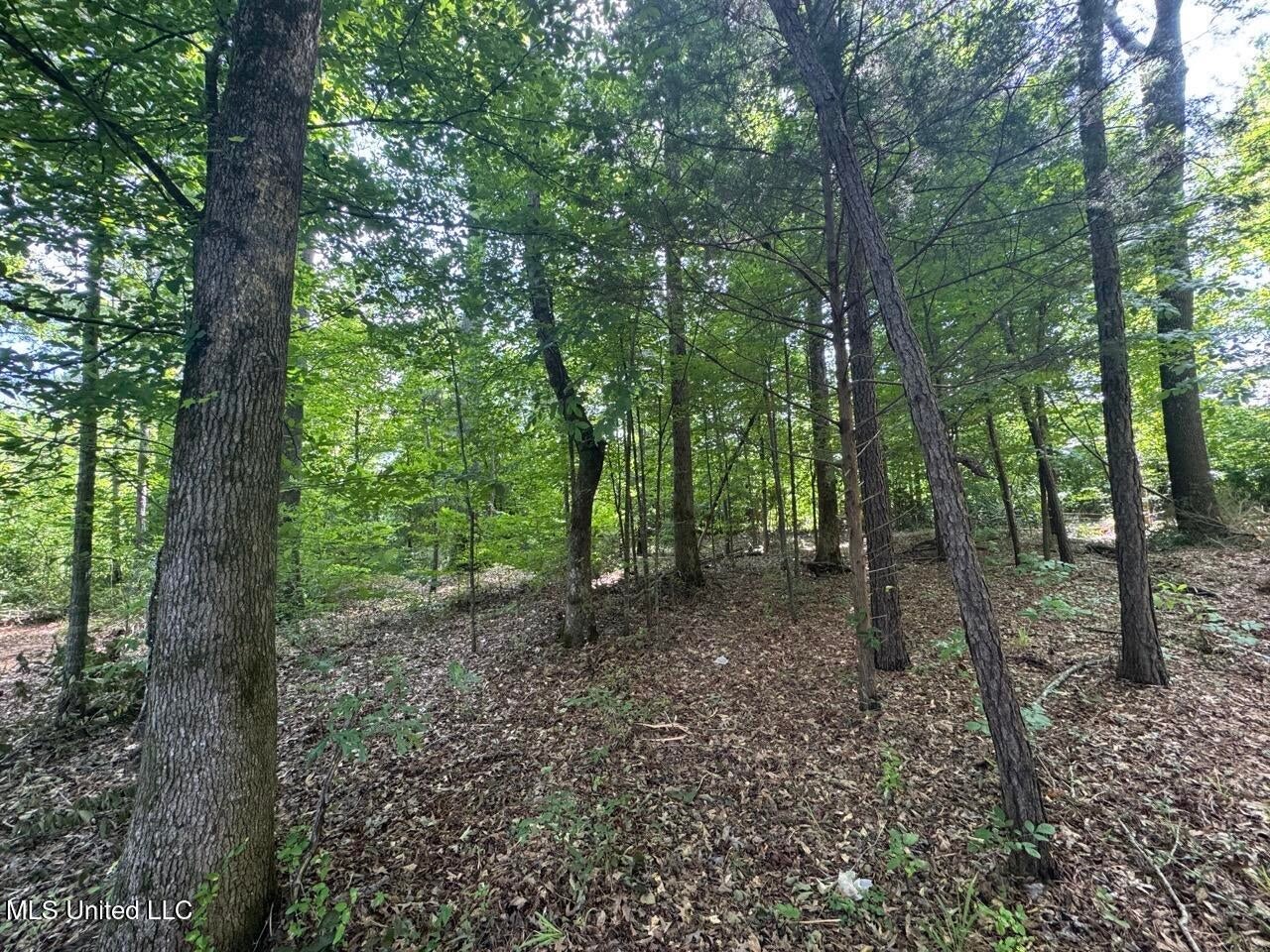 28+- Acres for Sale in Natchez, MS