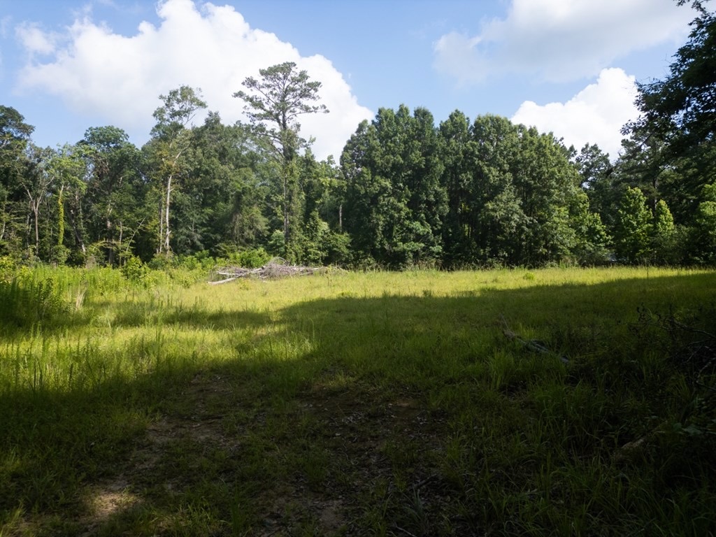 Clinton 30 Acres for Sale – Rural Land Near Baton Rouge, LA