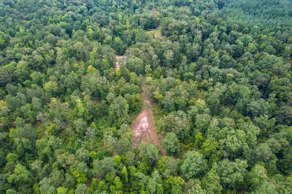 Hunting Land for Sale in Hinds County, MS