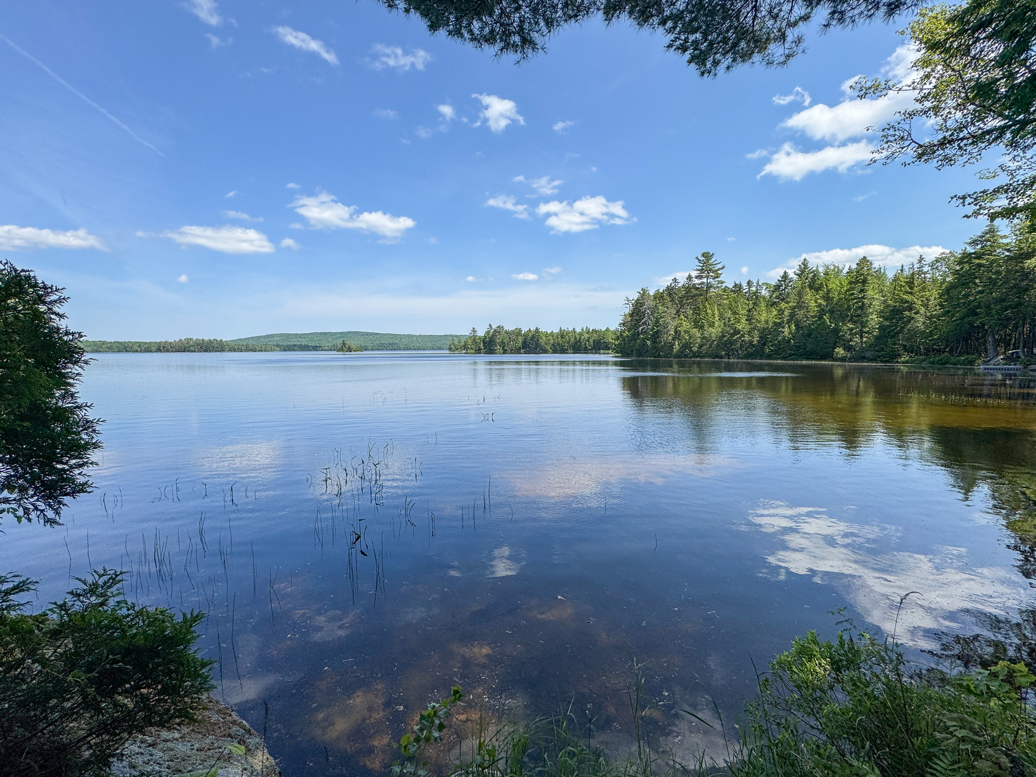 Lakefront Land for Sale – 12.52 Acres with 355 Feet of Shoreline