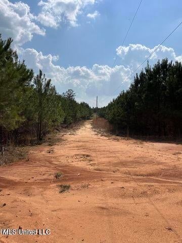 52 Acre Homesite Madison County Camden, MS