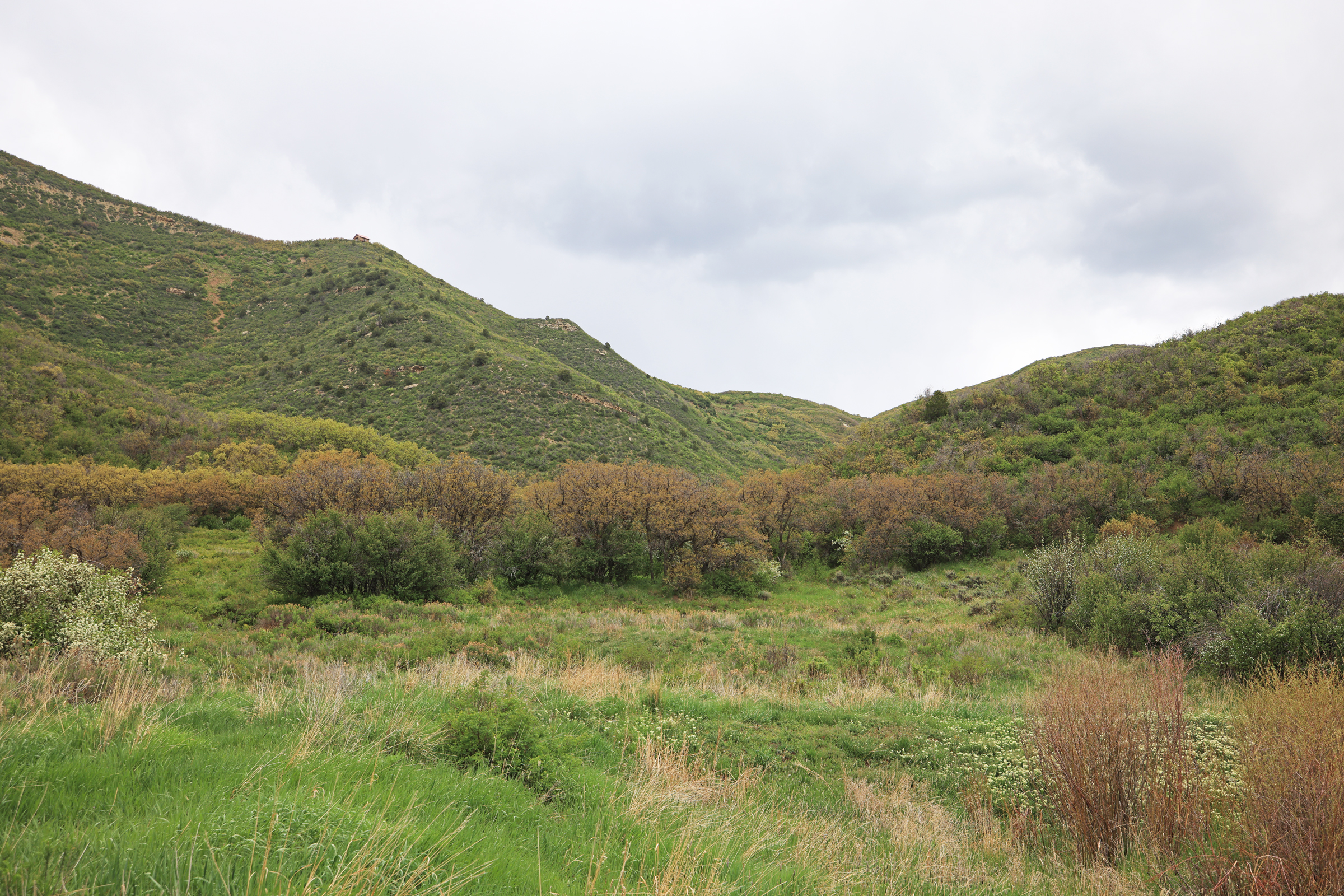 Colorado Recreation and Hunting Property