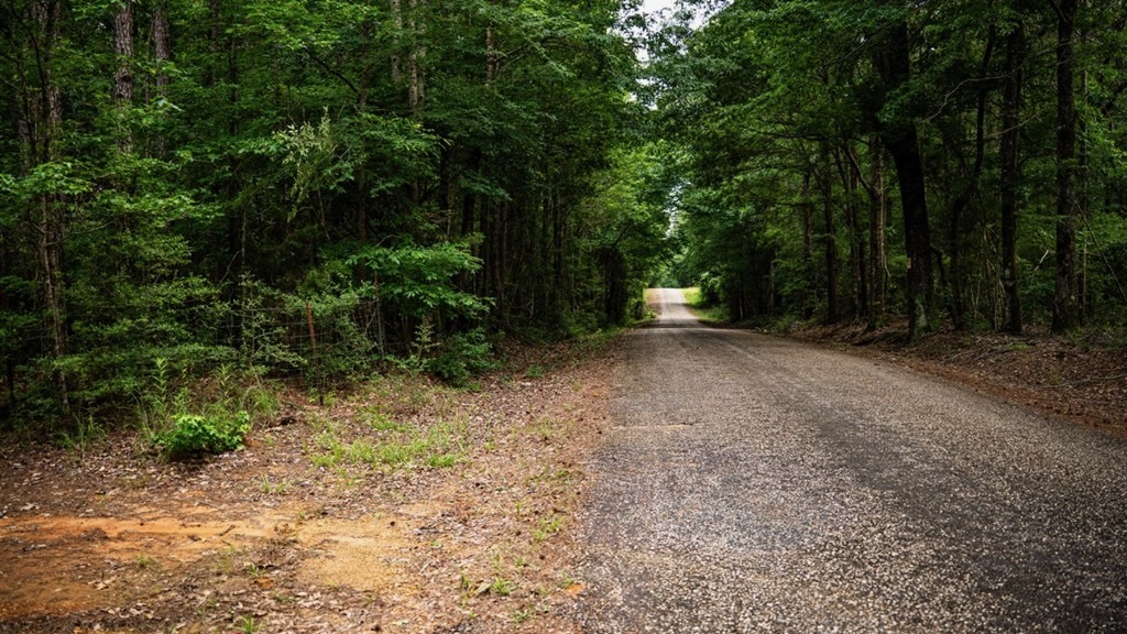 Hunting Land Near Homochitto National Forest, MS