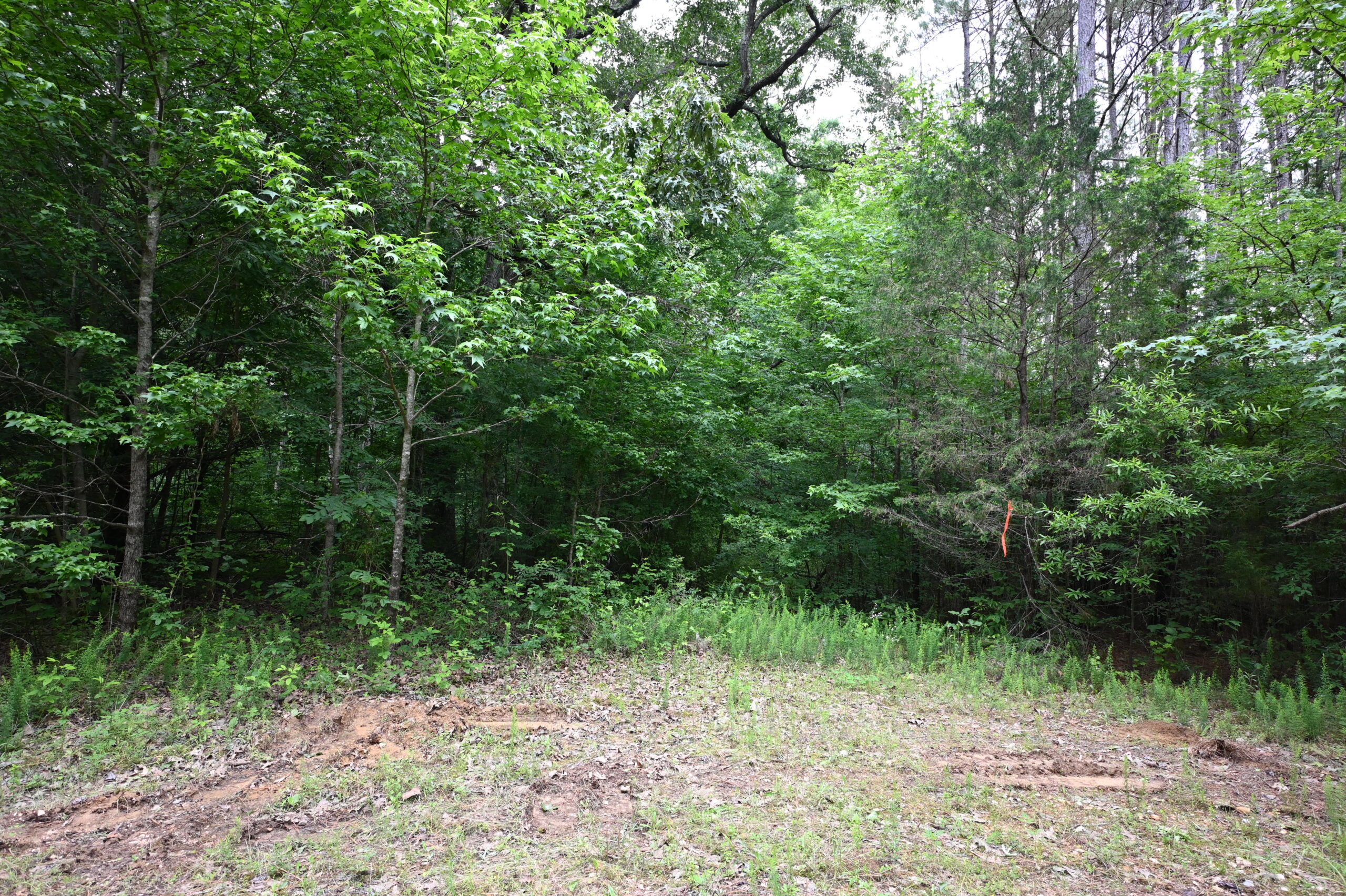 65.84 Acres for Sale in Decaturville, Tennessee