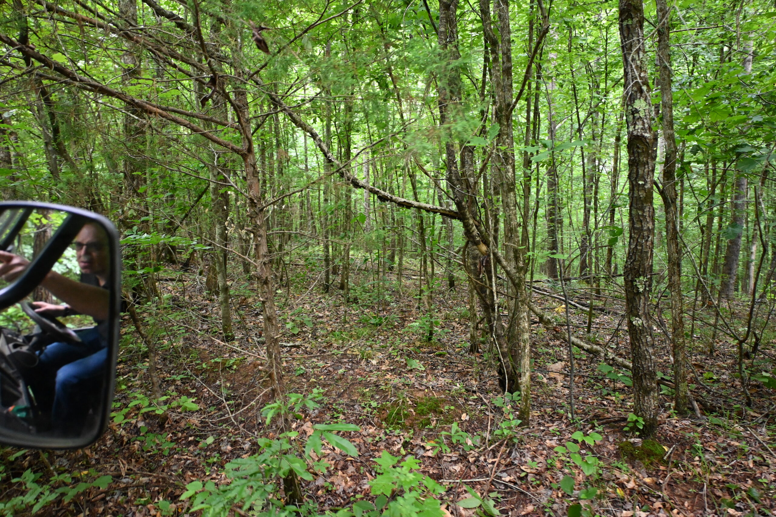 65.84 Acres for Sale in Decaturville, Tennessee
