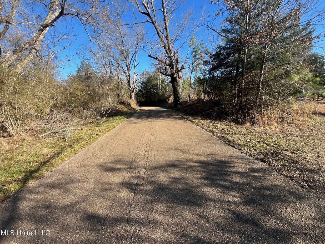 Great Homesite and Hunting Tract in Hermanville, MS