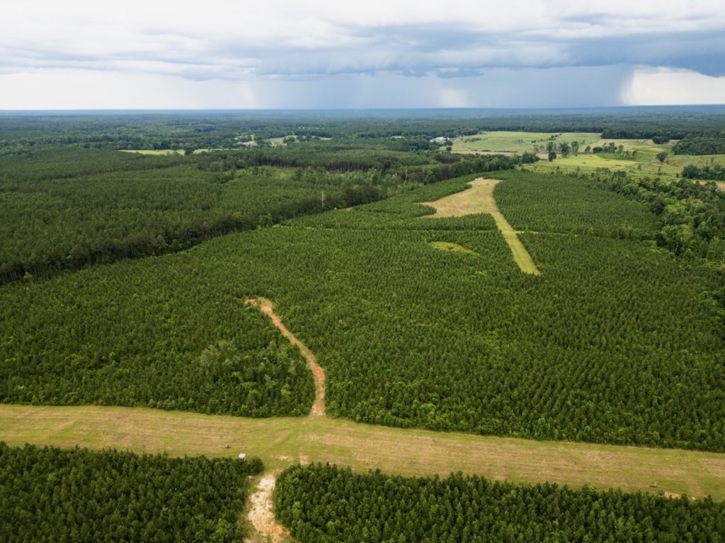 Mississippi Hunting Land – Easy 88 in Magnolia/Osyka