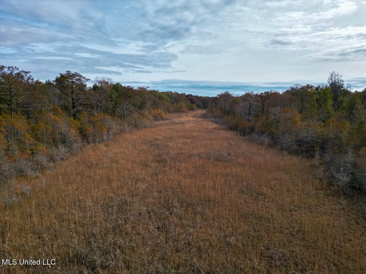 Tensas Parish LA – The Glade Hunting Property