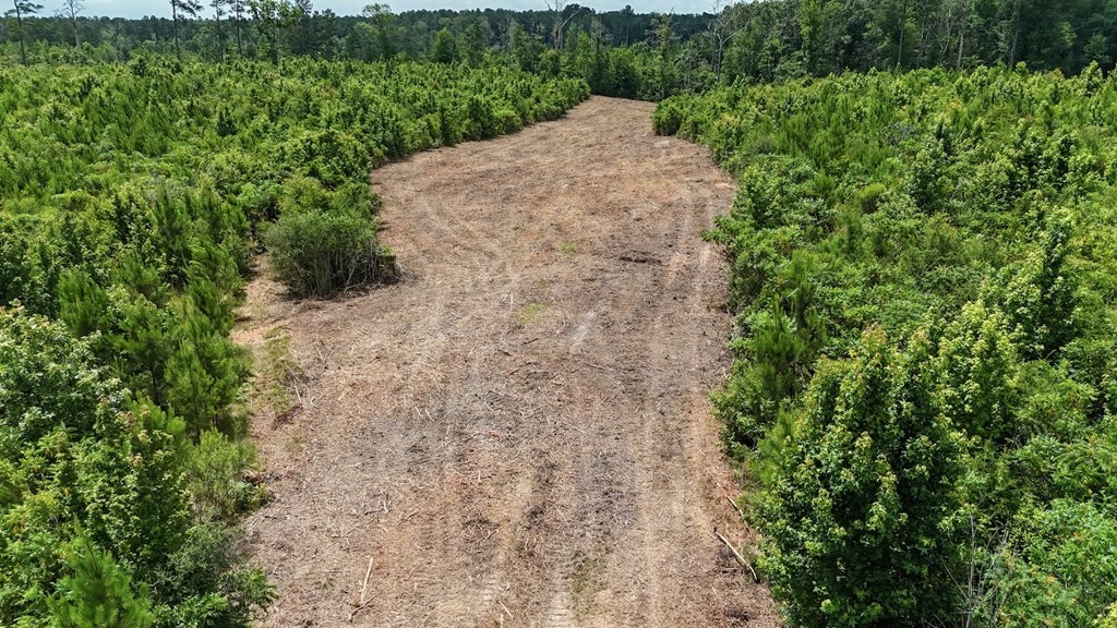 Small Hunting Tract FOR SALE in Amite County, MS