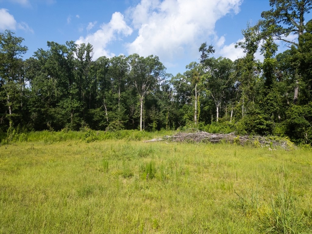Clinton 30 Acres for Sale – Rural Land Near Baton Rouge, LA